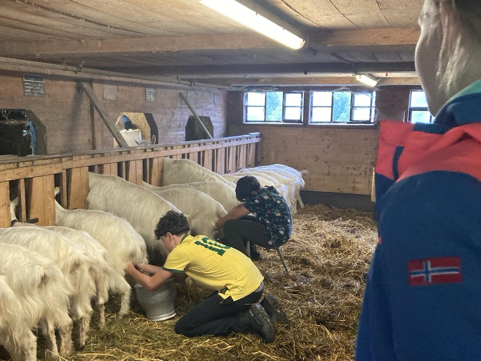 Bild von Lagerwoche in Urnäsch