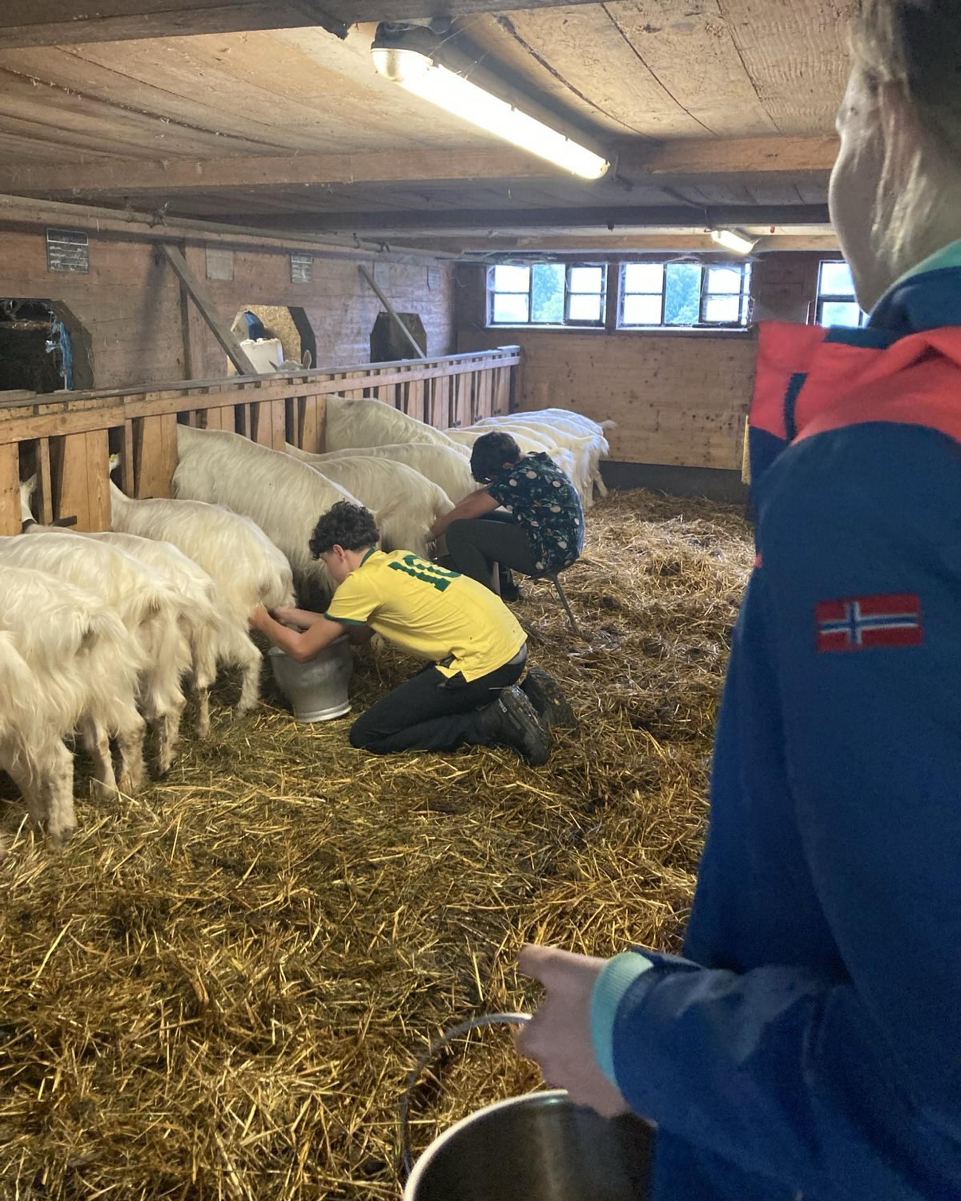 Bild von Lagerwoche in Urnäsch