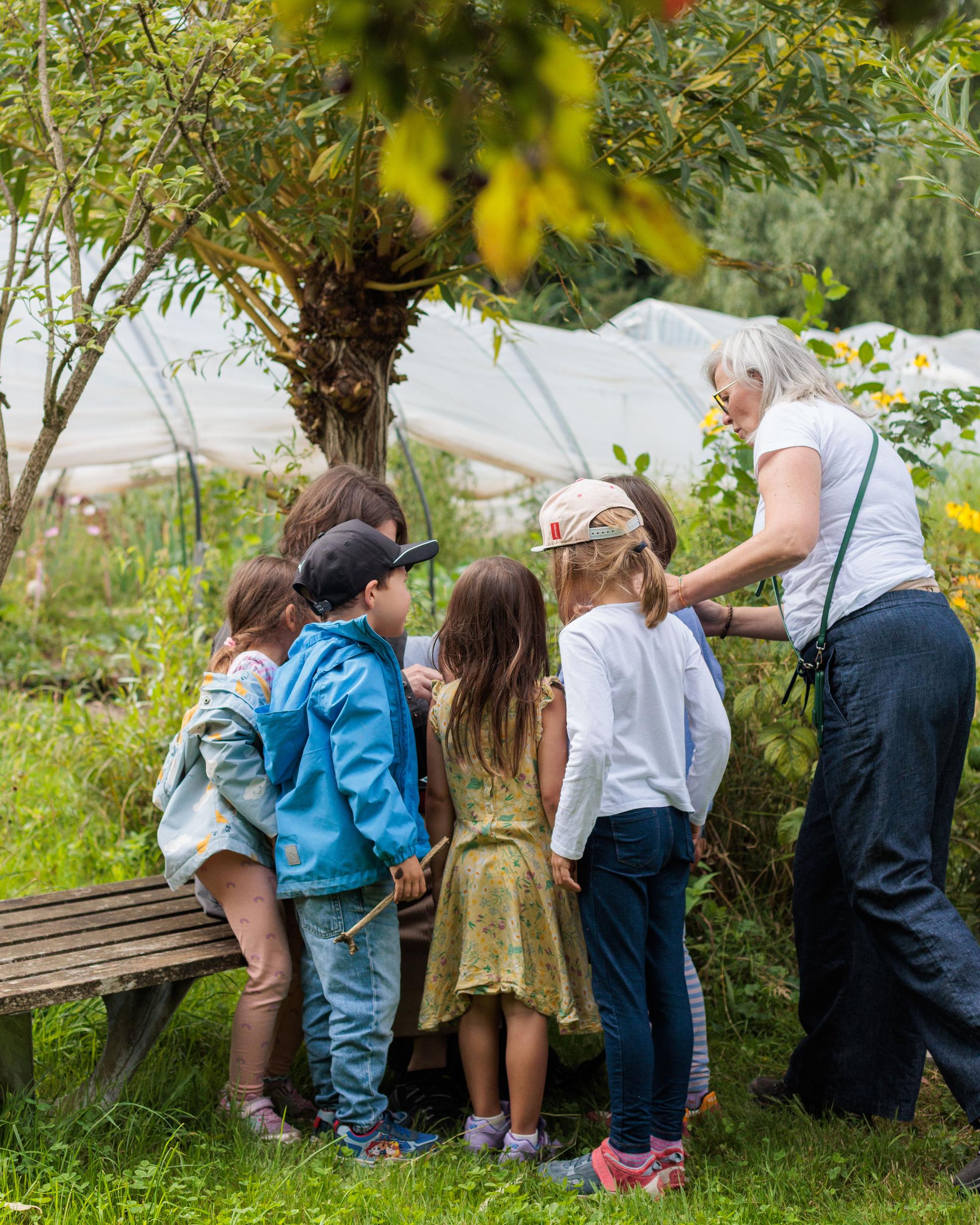 Bild von Ab ins Beet: Das Gartenjahr an der LIP hat begonnen